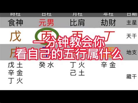 思 五行屬性|五行中的思：驚喜發現